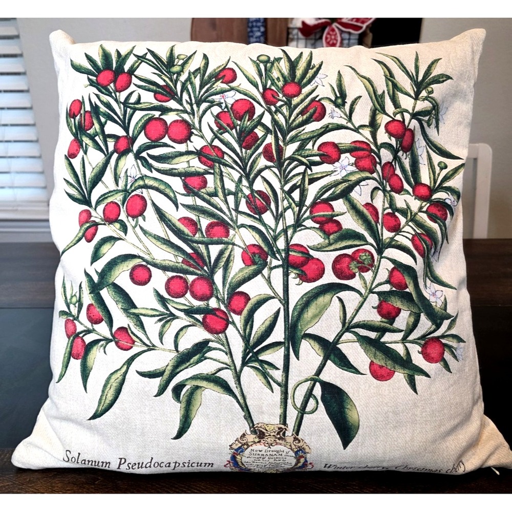 Pottery Barn Winter Cherry Christmas Pillow Insert & Cover Holiday Linen 20 x 20